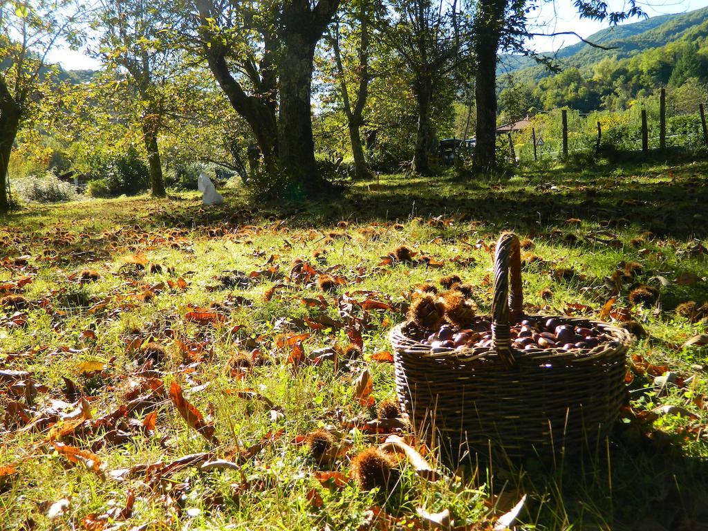 Agriturismo Casa Turchetti Comano  Eksteriør bilde